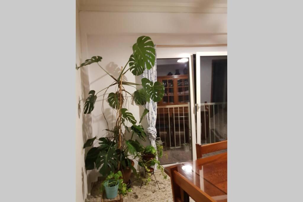Amplio Y Luminoso Piso En El Centro De 奥伦塞 外观 照片