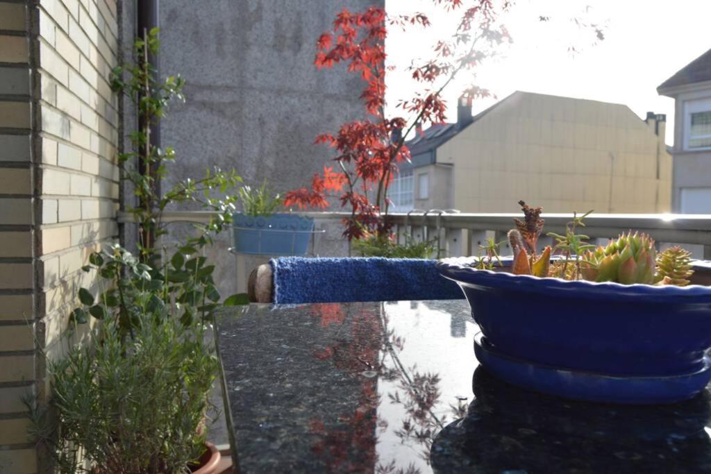 Amplio Y Luminoso Piso En El Centro De 奥伦塞 外观 照片